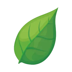 Green leaf symbolizing spring and seasonal maintenance for air conditioning services in Lewisville, TX.